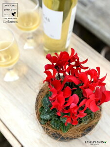 K[fVNiԉԁj F X|bg V_[^ 픫 yRRt@Co[z VN tC ~bNX JKroii⾉Ήԁj u^m}WEi؂\j c c ԕc 