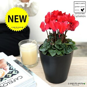 K[fVNiԉԁj 4 F vX`bN VN tC ~bNX JKroii⾉Ήԁj u^m}WEi؂\j c c ԕc  A A  bh  z