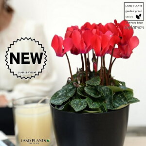 K[fVNiԉԁj 4 F vX`bN VN tC ~bNX JKroii⾉Ήԁj u^m}WEi؂\j c c ԕc  A A  bh  z