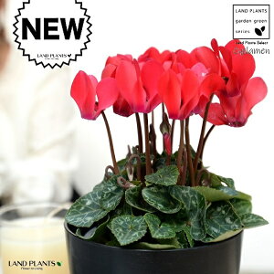 K[fVNiԉԁj 4 F vX`bN VN tC ~bNX JKroii⾉Ήԁj u^m}WEi؂\j c c ԕc  A A  bh  z