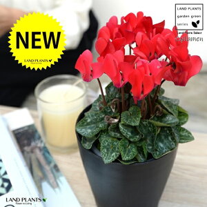 K[fVNiԉԁj 4 F vX`bN VN tC ~bNX JKroii⾉Ήԁj u^m}WEi؂\j c c ԕc  A A  bh  z