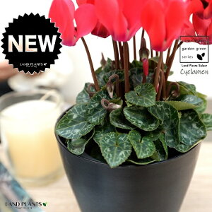 K[fVNiԉԁj 4 F vX`bN VN tC ~bNX JKroii⾉Ήԁj u^m}WEi؂\j c c ԕc  A A  bh  z