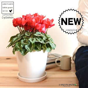 VNiԉԁj VvfUC Eh^ 픫 yRRt@Co[zVN tC ~bNX JKroii⾉Ήԁj u^m}WEi؂\j c c ԕc  A