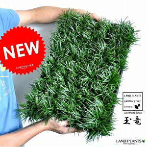 ^}Eiʗj@1P[Xi40j@2.5TCY@P[XE7.5cm|bgEMNEE̕EEEmqQÊЂ @OhJo[EoRjXgEWmqQ@|Cg