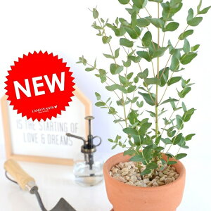 [J iOj[)@MteRb^ MTCY IW 픫 A  F eRb^ [J̖ [Jv^X tg Oj RA ϗtA 