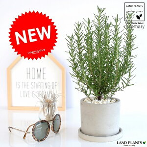 [Y}[ Zg V_[ 픫 yF΁EMz A  DF O[ RN[g c c   n[u }lE R Ĉ ϗtA 