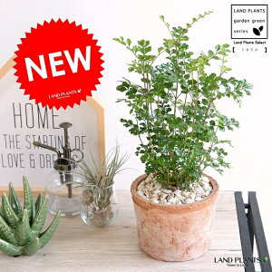 V}glR F X|bg V_[ 픫 \q glR c c glR ^CVIW A  eRb^ ی` uE  IW  RP ϗtA oRjX