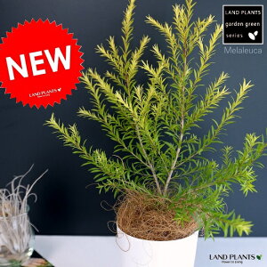 eB[c[ iEJF{[VS[hj 3 F vX`bN [J eB[c[ c c A zCg ی`  ϗtA oRjXg RRVt@Co[