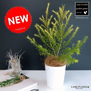 EJ {[VS[h 3 F vX`bN [J eB[c[ c c A zCg ی`  ϗtA oRjXg RRVt@Co[ LveENb