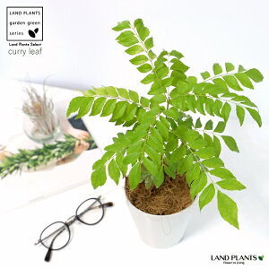 yz J[̕c 4 F vX`bN IIoQbLc tk iEUVE mR J[[t J[c[ J[mL c c A zCg ی`  ϗtA 