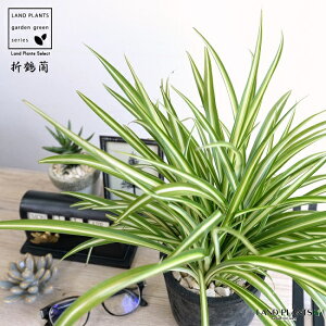 ܒߗiIdj F X|bg V_[^ eRb^ C̖ MOSSPOT f 픫 A  Id IY  ubN O[ DF D ˂  ϗtA