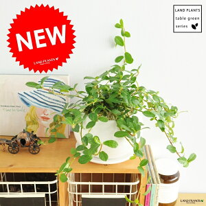 tBJXEVOi鐫KW}jF ی^ 픫iF΁j KW} enCkr  c A   ۔  zCg  ی` ϗtA A 