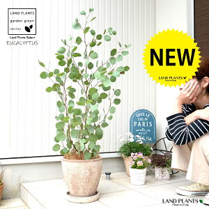 [Ji||Xj F GbO^ Eh eRb^ yMERRt@Co[z