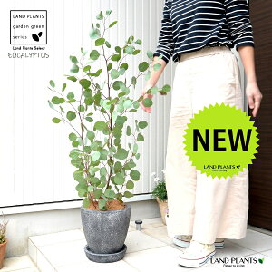 [Ji||Xj F GbO^ Eh eRb^ yMERRt@Co[z