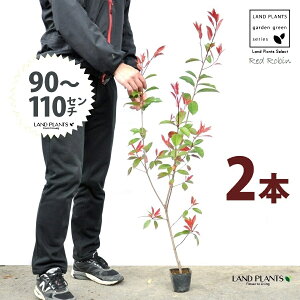 yz bhr 3.5 c i2{j i90`110cmjc c c|bg ZCEJi Ji` _ _ ډB ǖʗΉ O[EH[ O[J[e A A  e