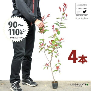 yz bhr 3.5 c i4{j i90`110cmjc c c|bg ZCEJi Ji` _ _ ډB ǖʗΉ O[EH[ O[J[e A A  e