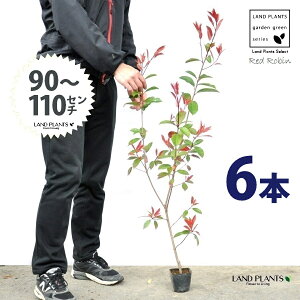 yz bhr 3.5 c i6{j i90`110cmjc c c|bg ZCEJi Ji` _ _ ډB ǖʗΉ O[EH[ O[J[e A A  e