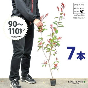 yz bhr 3.5 c i7{j i90`110cmjc c c|bg ZCEJi Ji` _ _ ډB ǖʗΉ O[EH[ O[J[e A A  e