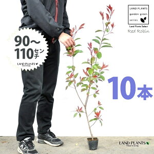 yz bhr 3.5 c i10{j i90`110cmjc c c|bg ZCEJi Ji` _ _ ډB ǖʗΉ O[EH[ O[J[e A A  
