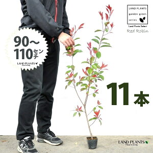 yz bhr 3.5 c i11{j i90`110cmjc c c|bg ZCEJi Ji` _ _ ډB ǖʗΉ O[EH[ O[J[e A A  