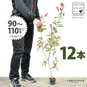 yz bhr 3.5 c i12{j i90`110cmjc c c|bg ZCEJi Ji` _ _ ډB ǖʗΉ O[EH[ O[J[e A A  