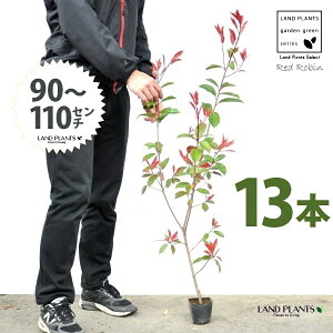 yz bhr 3.5 c i13{j i90`110cmjc c c|bg ZCEJi Ji` _ _ ډB ǖʗΉ O[EH[ O[J[e A A  