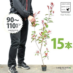 yz bhr 3.5 c i15{j i90`110cmjc c c|bg ZCEJi Ji` _ _ ډB ǖʗΉ O[EH[ O[J[e A A  