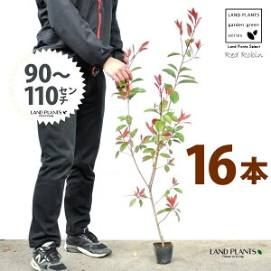 yz bhr 3.5 c i16{j i90`110cmjc c c|bg ZCEJi Ji` _ _ ډB ǖʗΉ O[EH[ O[J[e A A  