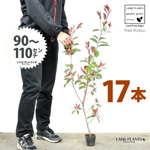 yz bhr 3.5 c i17{j i90`110cmjc c c|bg ZCEJi Ji` _ _ ډB ǖʗΉ O[EH[ O[J[e A A  