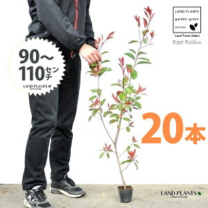 yz bhr 3.5 c i20{j i90`110cmjc c c|bg ZCEJi Ji` _ _ ډB ǖʗΉ O[EH[ O[J[e A A  