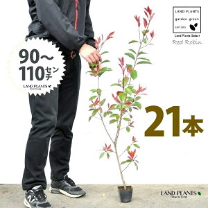 yz bhr 3.5 c i21{j i90`110cmjc c c|bg ZCEJi Ji` _ _ ډB ǖʗΉ O[EH[ O[J[e A A  