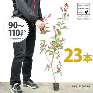 yz bhr 3.5 c i23{j i90`110cmjc c c|bg ZCEJi Ji` _ _ ډB ǖʗΉ O[EH[ O[J[e A A  