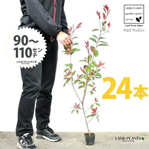 yz bhr 3.5 c i24{j i90`110cmjc c c|bg ZCEJi Ji` _ _ ډB ǖʗΉ O[EH[ O[J[e A A  