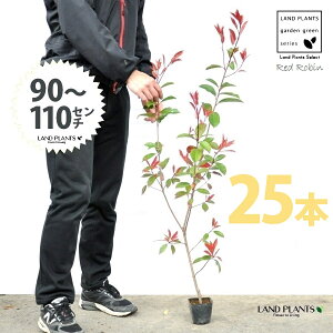yz bhr 3.5 c i25{j i90`110cmjc c c|bg ZCEJi Ji` _ _ ډB ǖʗΉ O[EH[ O[J[e A A  