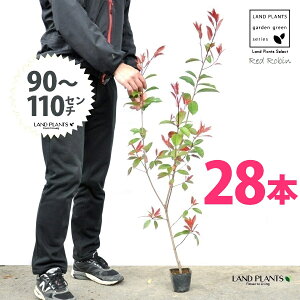 yz bhr 3.5 c i28{j i90`110cmjc c c|bg ZCEJi Ji` _ _ ډB ǖʗΉ O[EH[ O[J[e A A  