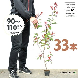 yz bhr 3.5 c i33{j i90`110cmjc c c|bg ZCEJi Ji` _ _ ډB ǖʗΉ O[EH[ O[J[e A A  