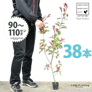 yz bhr 3.5 c i38{j i90`110cmjc c c|bg ZCEJi Ji` _ _ ډB ǖʗΉ O[EH[ O[J[e A A  