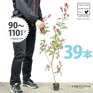 yz bhr 3.5 c i39{j i90`110cmjc c c|bg ZCEJi Ji` _ _ ډB ǖʗΉ O[EH[ O[J[e A A  