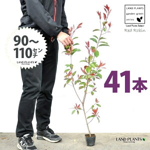 yz bhr 3.5 c i41{j i90`110cmjc c c|bg ZCEJi Ji` _ _ ډB ǖʗΉ O[EH[ O[J[e A A  