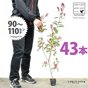 yz bhr 3.5 c i43{j i90`110cmjc c c|bg ZCEJi Ji` _ _ ډB ǖʗΉ O[EH[ O[J[e A A  