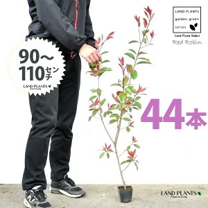yz bhr 3.5 c i44{j i90`110cmjc c c|bg ZCEJi Ji` _ _ ډB ǖʗΉ O[EH[ O[J[e A A  