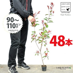 yz bhr 3.5 c i48{j i90`110cmjc c c|bg ZCEJi Ji` _ _ ډB ǖʗΉ O[EH[ O[J[e A A  