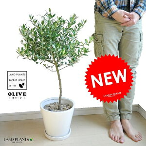 new!!@I[u@gsA[dā@F}bg|bgɐA@I[u̖؁@AI[u@yyMt_bZzyyMt_bŹz@ŗeւ̃v[g@̋LOi