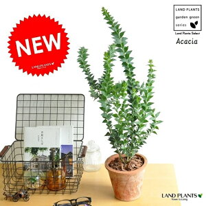 AJVAiOptFTJNoj F X|bg g[ Eh^ iCt[tg@F̉Ԃ niAJVA tAJVA MoAJVA AJVA̖ I[XgAv