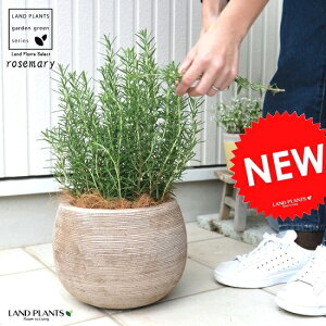 [Y}[ ۂĂ eRb^ Eh^ iȁj  A c c [Y} n[u n[ f    uE x[W RRVt@Co[