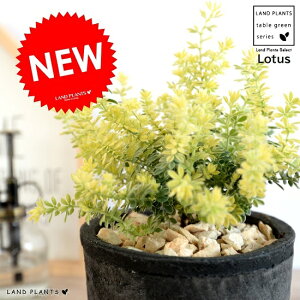 [^X iuXg[j F X|bg V_[^ eRb^ A  Ȃ c c ubN  DF  Eh ϗtA