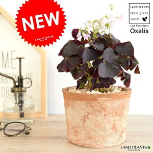 ILUXij F X|bg V_[^ yVRӐ΁z eRb^ A  Ȃ c c IW  uE  Eh ϗtA