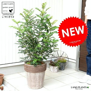 V}glRij c[gfĔ R[q[XNb` eRb^  f 픫  F   x[W c c ^ 8 ϗtA  IV Vzj JXj