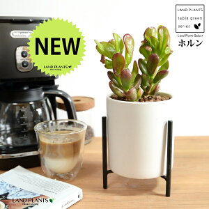 JlmiLizj F ACAX^ht 픫 STCY ynChEACAX^hz A   F̎ NbX xPC\E NbX xPC\E A