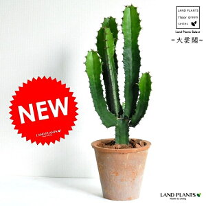 T{ei_tF_CEJNj F X|bg g[ Eh^ JN^X  A T{e_CEJN eRb^ f  uE IW  ϗtA ϗt 